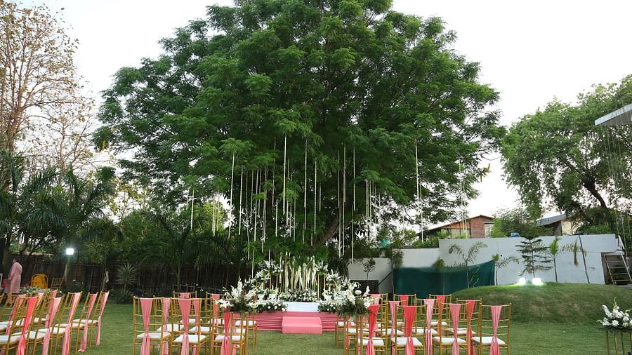 Daytime lawn view with red chairs and a large tree in the centre at Tisya Farms, Gurgaon.