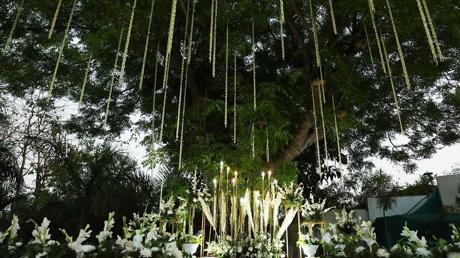 Hanging white flowers and bamboo arrangements under a large tree at Tisya Farms, Gurgaon at night.