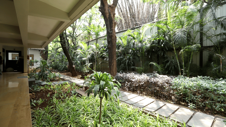 stone path at Trance Sunderban Resort lined with dense, towering bamboo stalks creating a natural green tunnel.