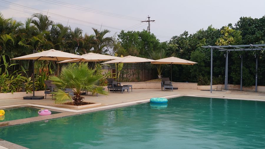 An image of a swimming pool with the lounge chairs - Trance Veechika Resort