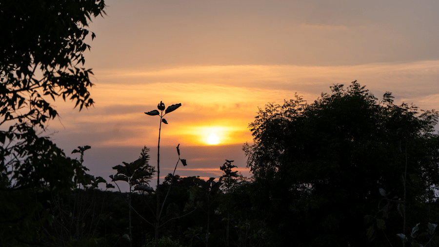 DSC07296