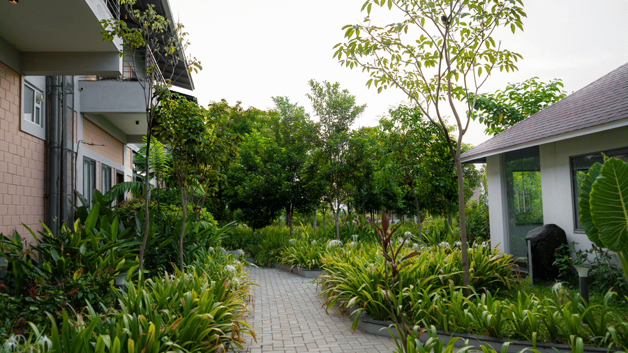 DSC07465