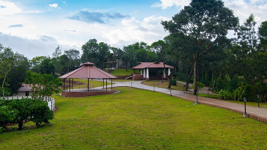outdoor lawn