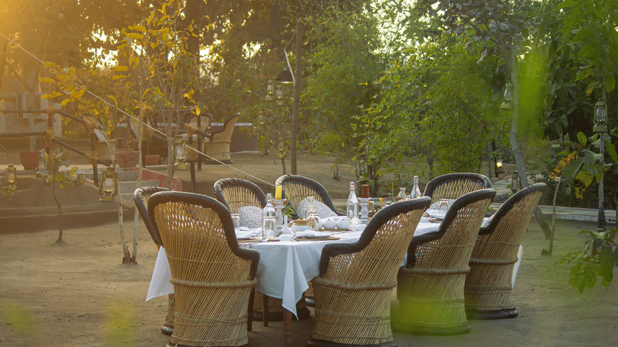 An outdoor dining table with wicker chairs under a warm sunset glow with leafy trees - Umaria Safari Camp