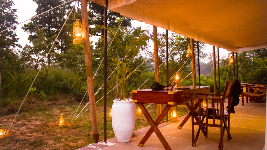 A peaceful outdoor wooden desk and seating area tucked under a tent canopy, lit by warm hanging bulbs at sunset - Umaria Safari Camp