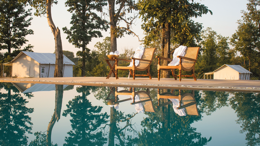 2 wooden lounge chairs positioned by the edge of a clear swimming pool reflecting the trees and cottages - Umaria Safari Camp