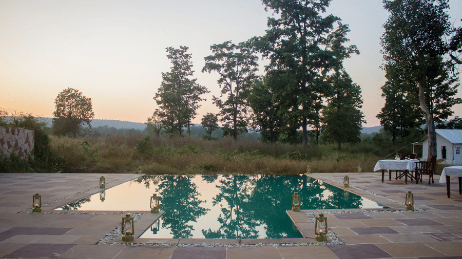 A wide view of a calm swimming pool on a paved patio with lanterns at sunset, looking out toward an open field - Umaria Safari Camp