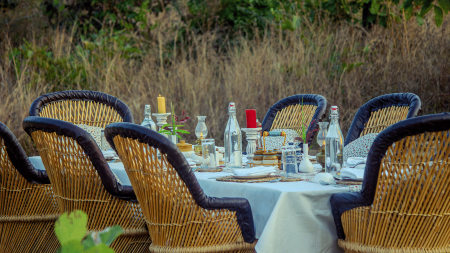 A close-up view of an outdoor dining table neatly set with glassware and surrounded by woven wicker chairs near tall grass - Umaria Safari Camp