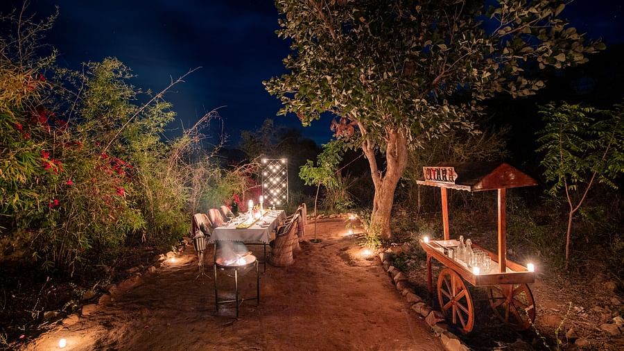 An image of an outdoor dining arrangement with bright lighting and greenery around - Utsav Camp Sariska