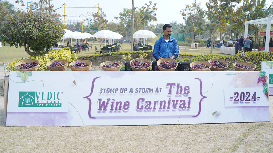 A staff member standing at the Vedic Village Spa Resort Wine Carnival 2024 event banner outdoors with green lawns and trees visible in the background.