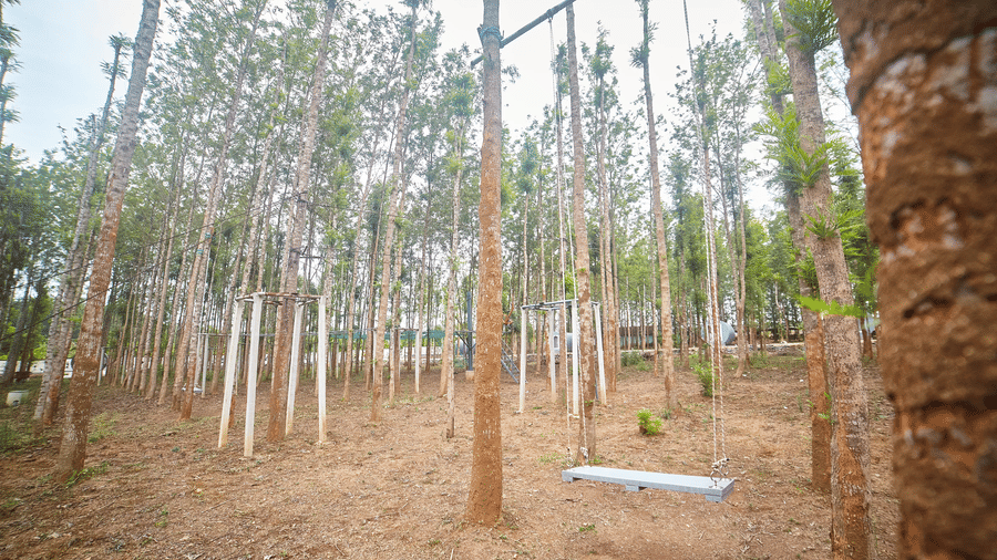 A wide-angle shot of an outdoor adventure centre set within a silver birch forest, featuring a large wooden swing and various grey climbing frames and obstacles - Vintage Trails By Ilara, Sakleshpur