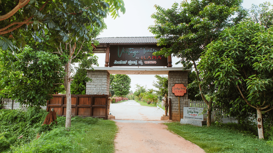 An outdoor dirt road leading through a large entrance gate structure flanked by green trees and bushes | Vintage Trails By Ilara