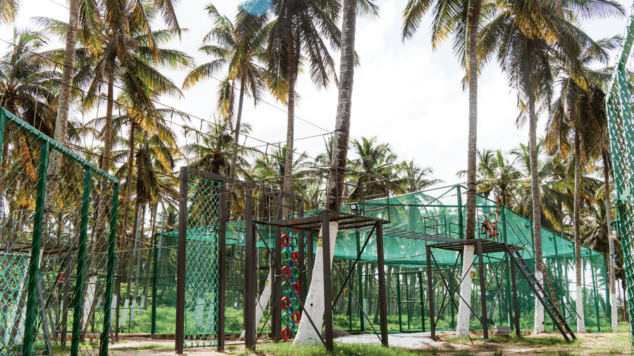 An outdoor adventure activity area with climbing structures and safety netting surrounded by tall palm trees | Vintage Trails By Ilara