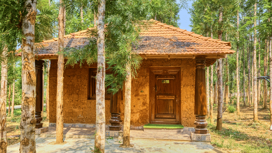 A small, rustic wooden cabin with a tiled roof and a front door, nestled amongst tall, slender trees in a natural setting. - Vintage Trails by Ilara