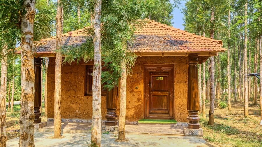 A small, rustic wooden cabin with a tiled roof and a front door, nestled amongst tall, slender trees in a natural setting. - Vintage Trails by Ilara