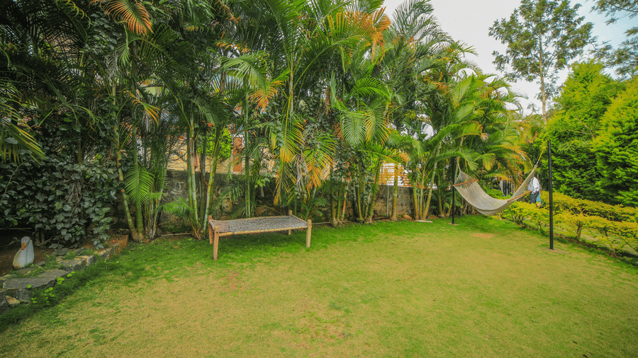 Open garden lawn with a wooden bench surrounded by palm trees and greenery at WOW Bison Woods.