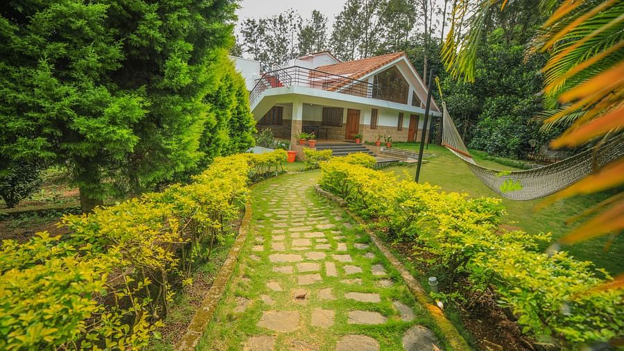 Facade of WOW Bungalow surrounded by plants and trees at WOW Bison Woods.