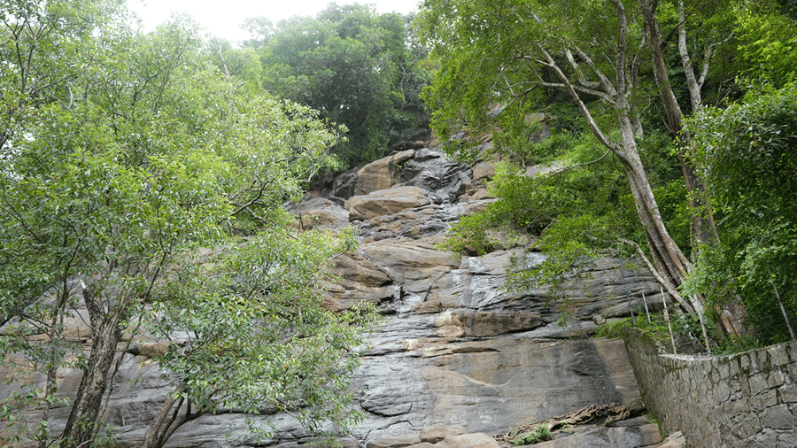 A natural landscape viewing a rocky stream bed or dry riverbed surrounded by dense trees and foliage.
