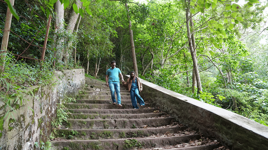 An outdoor stone staircase winding through a lush forest or wooded area, with people walking up the steps.