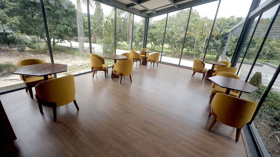 Bright dining area with floor-to-ceiling windows and yellow chairs overlooking lush greenery at Wyndham Garden.