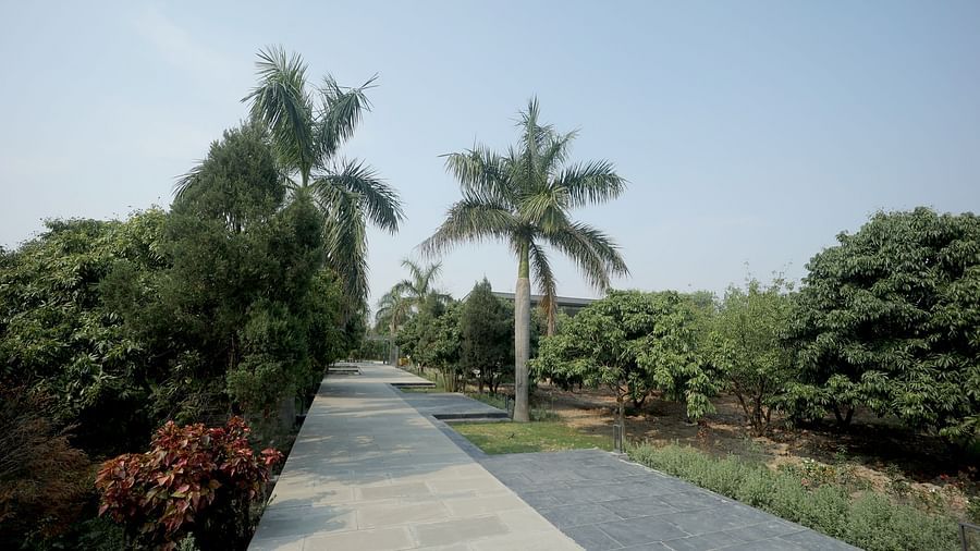 Scenic pathway lined with palm trees and manicured bushes on a sunny day at Wyndham Garden.