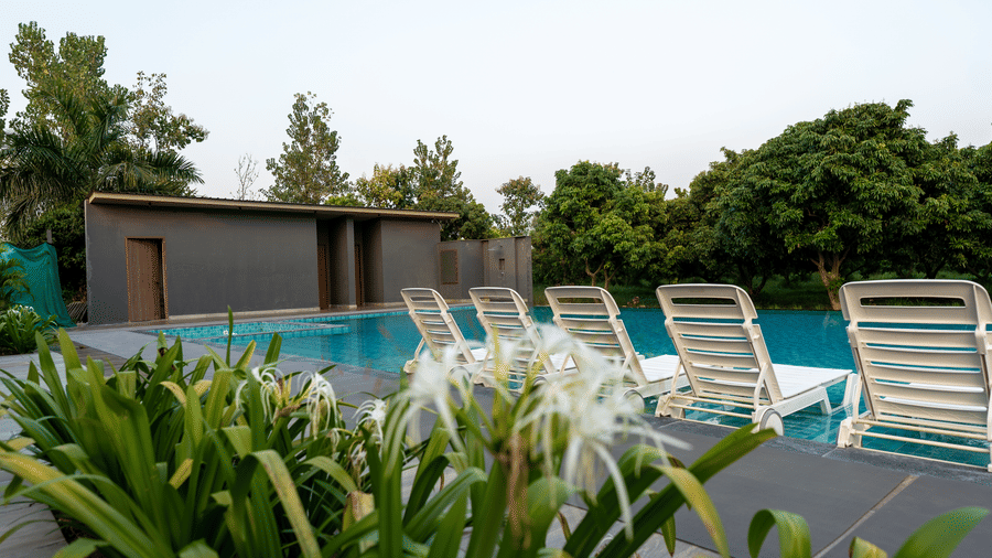 A poolside deck at Wyndham Garden featuring a row of lounge chairs, a planting bed with tall bright flowers, and a modern structure beside the pool.
