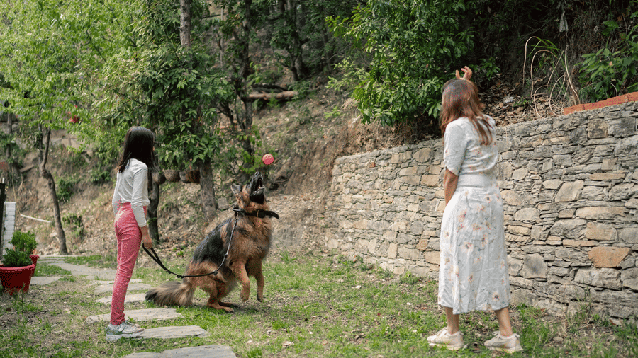 Two people playing with a dog in a grassy area at Ziran Retreat.