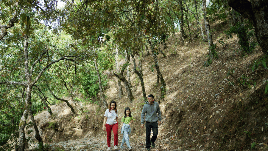 A family is walking on a path in a forest near Ziran Retreat.