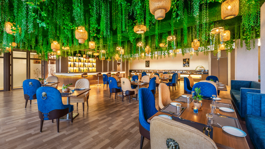Inviting restaurant dining area at Lords Inn Sangam, Bhopal with blue chairs, wooden tables, and a lush green hanging ceiling decor.