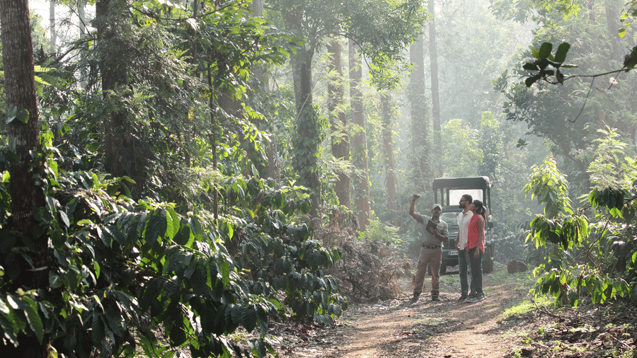 Guests trekking through misty jungle trails near Evolve Back Coorg