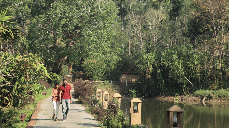 Couple walking along a scenic tree-lined pathway near Evolve Back Coorg