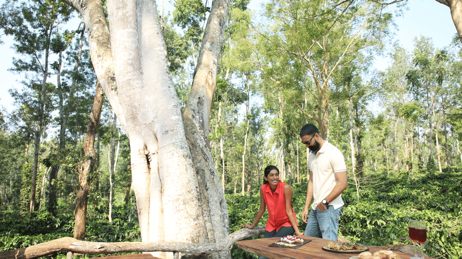 Couple having breakfast on a wooden deck surrounded by eucalyptus forest at Evolve Back Coorg