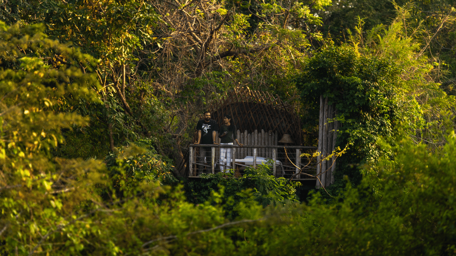 Resort nestled within dense jungle forest at Evolve Back Kabini