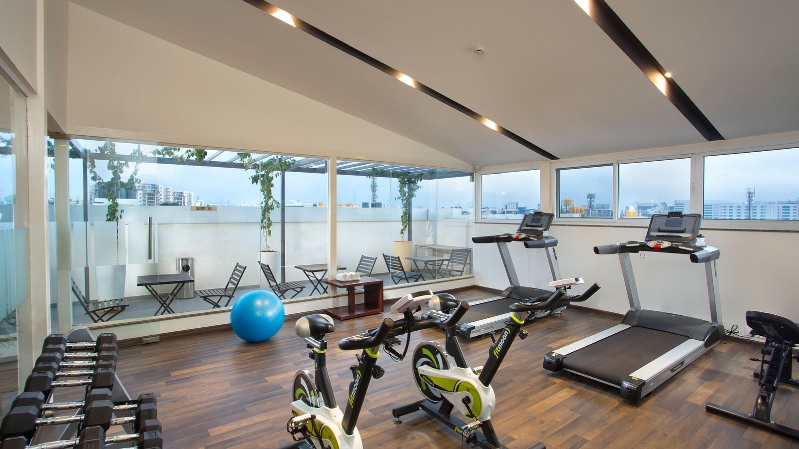 The gym with a view of the outdoor terrace, showcasing treadmills and stationary bikes - De Venetian by TGI, Brookefield