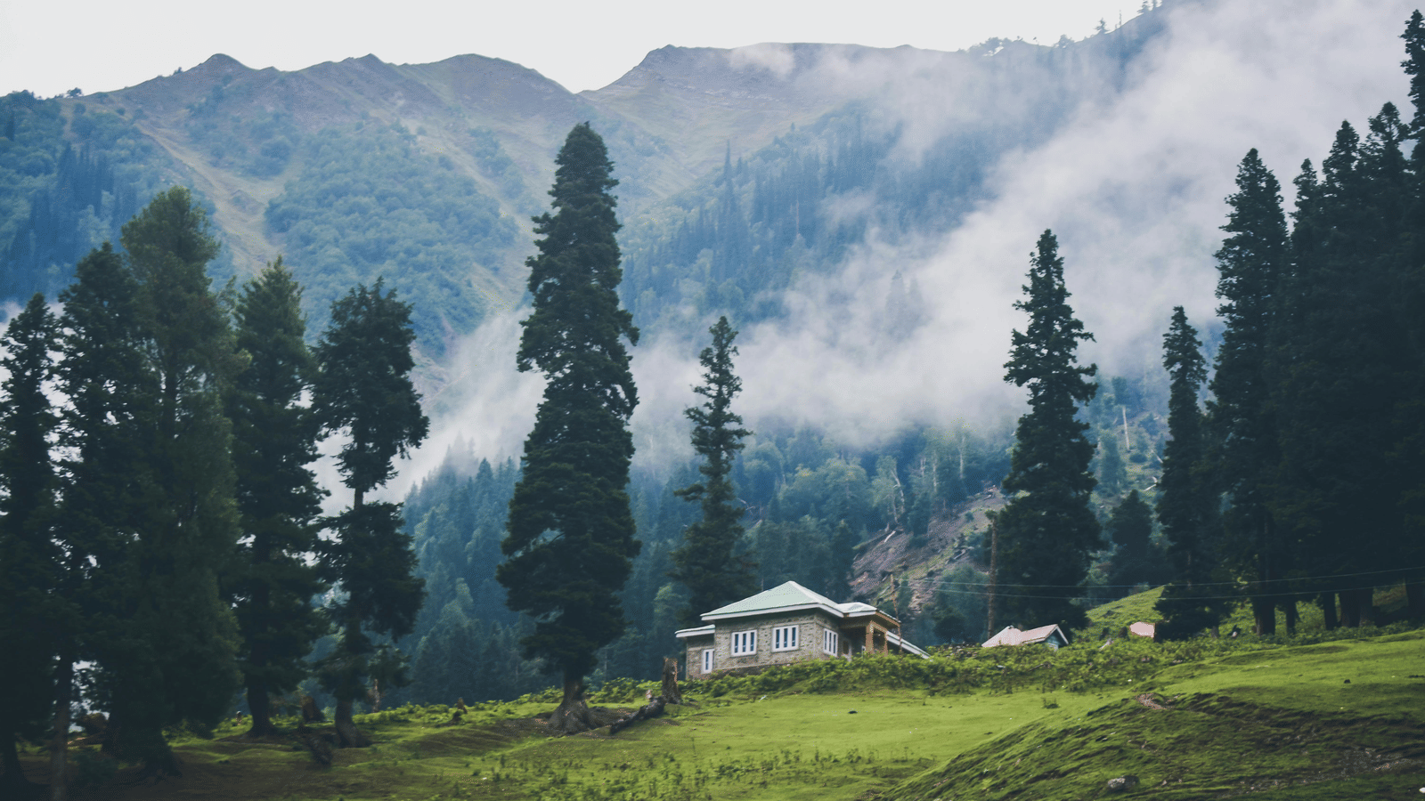 Mountain landscape with tall pine trees and a small house in the misty valley.