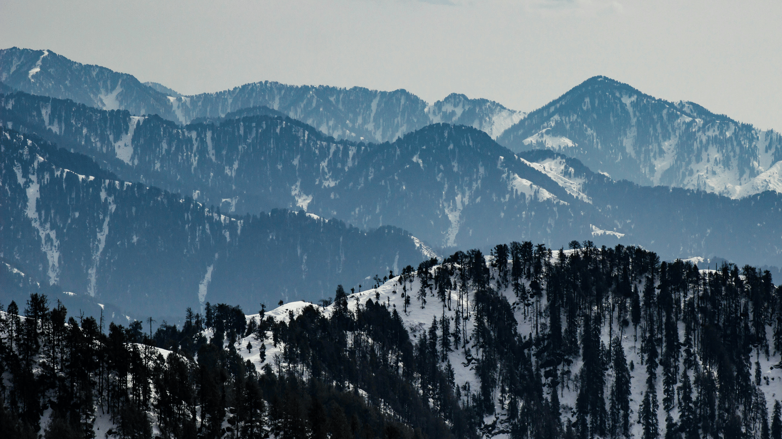 A wide view of snow-covered mountains 