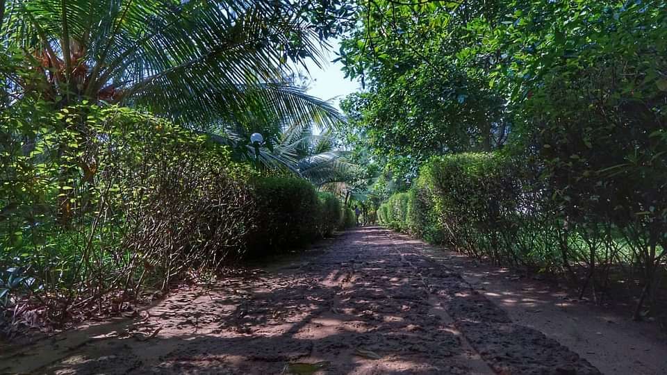 Lotus Eco Resort Konark Resort in Konark near Sun Temple - Nature Retreat