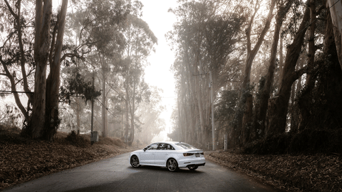 An overview of a road amidst tall trees inside a tree with a white car parked on the road.