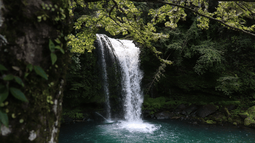 An overview of a waterfall during daytime with nature surrounding it. 