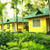 Palm Era Cottages, Coorg Coorg Exterior Palm Era Cottages Coorg 3