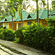 Palm Era Cottages, Coorg Coorg Exterior Palm Era Cottages Coorg 6