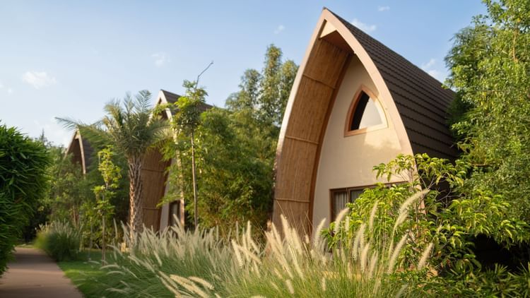 Side view of villas at Ananta Spa and Resort, Ajabgarh surrounded with green trees.