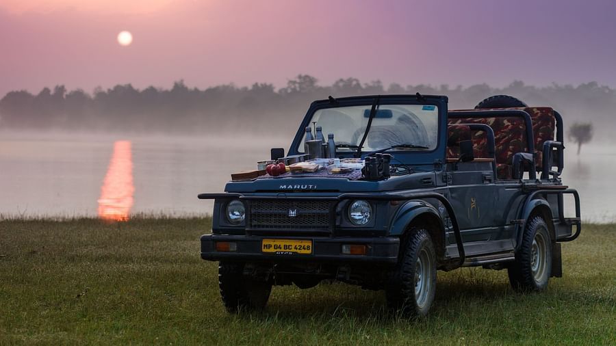 Safari in Madhya Pradesh