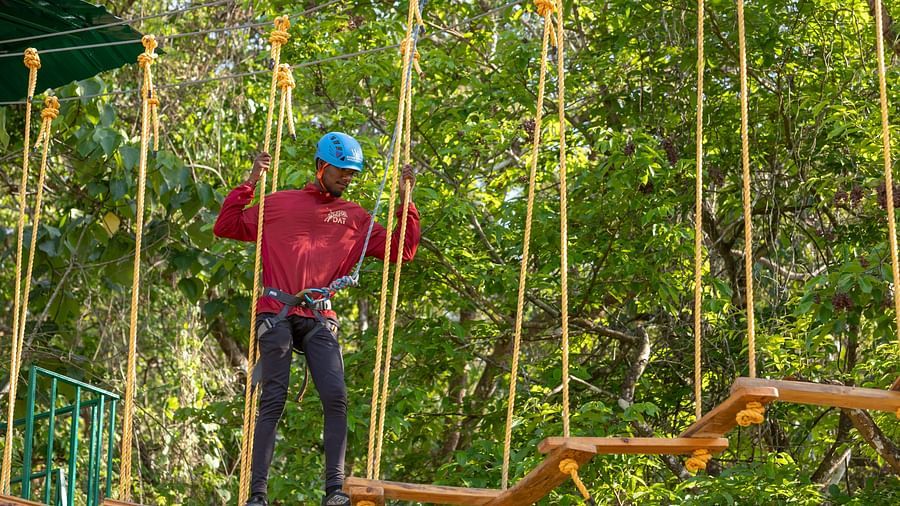 Person participating in a rope bridge adventure activity in a forest setting. | Stone Wood Jungle Resort, Dandeli