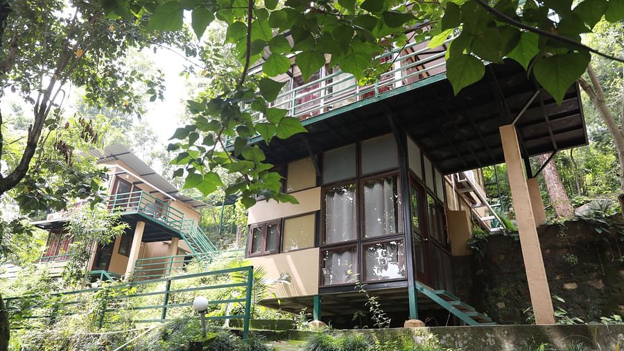The Sal Wood  Forest Retreat & Spa Dehradun Superior Cottage