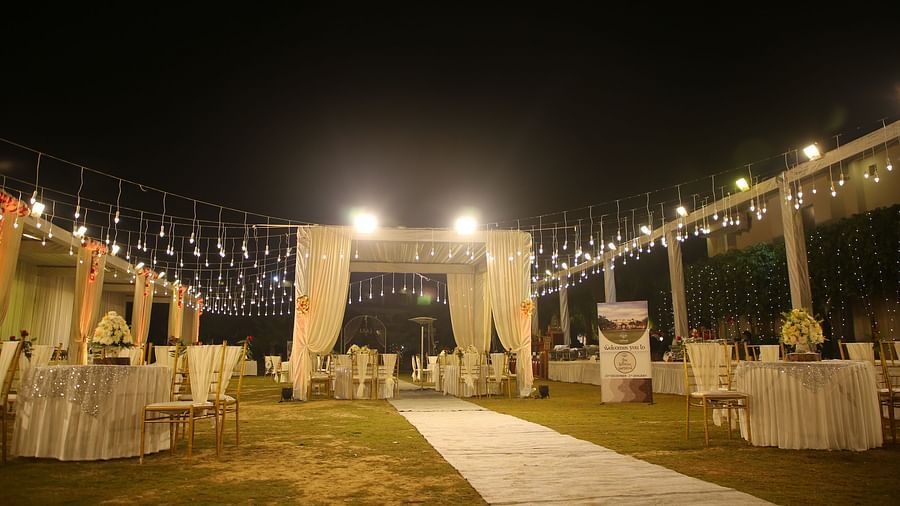 Party Lawn 2