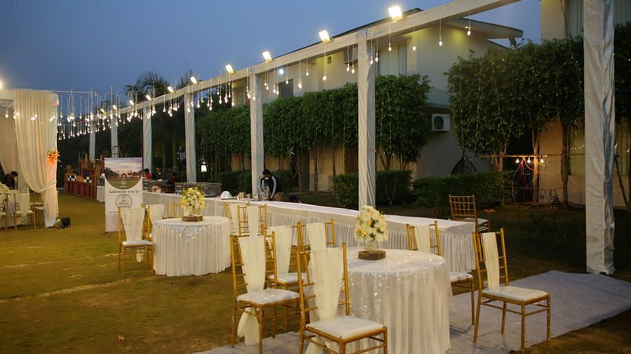 Party Lawn 3