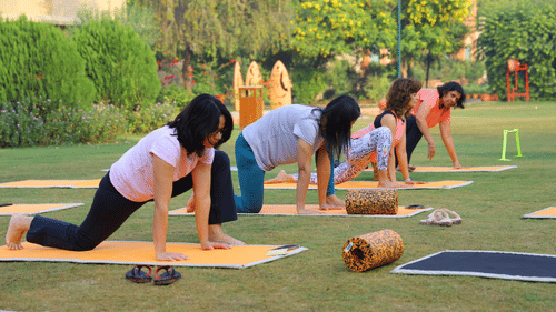 Guests in a group practising strength-building yoga poses on a lush green lawn.
