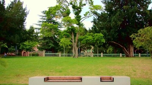 An image of a park with a bench in the foreground and trees in the background