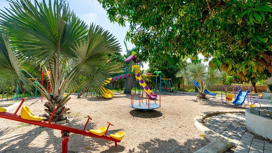 A playground with multiple slides, a merry-go-round, a seesaw, a swing, and a ball swing, surrounded by trees.